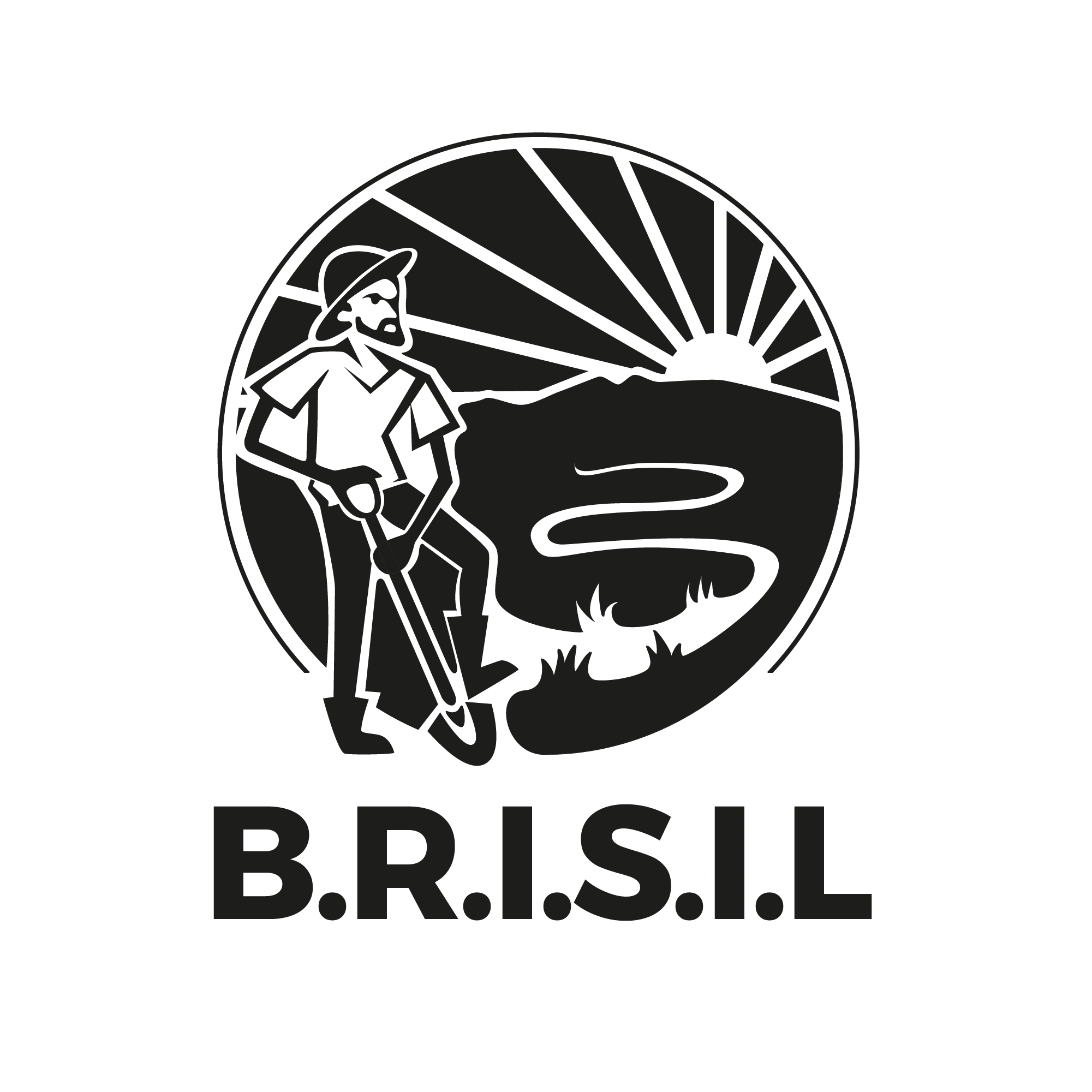 Logo B.R.I.S.I.L
